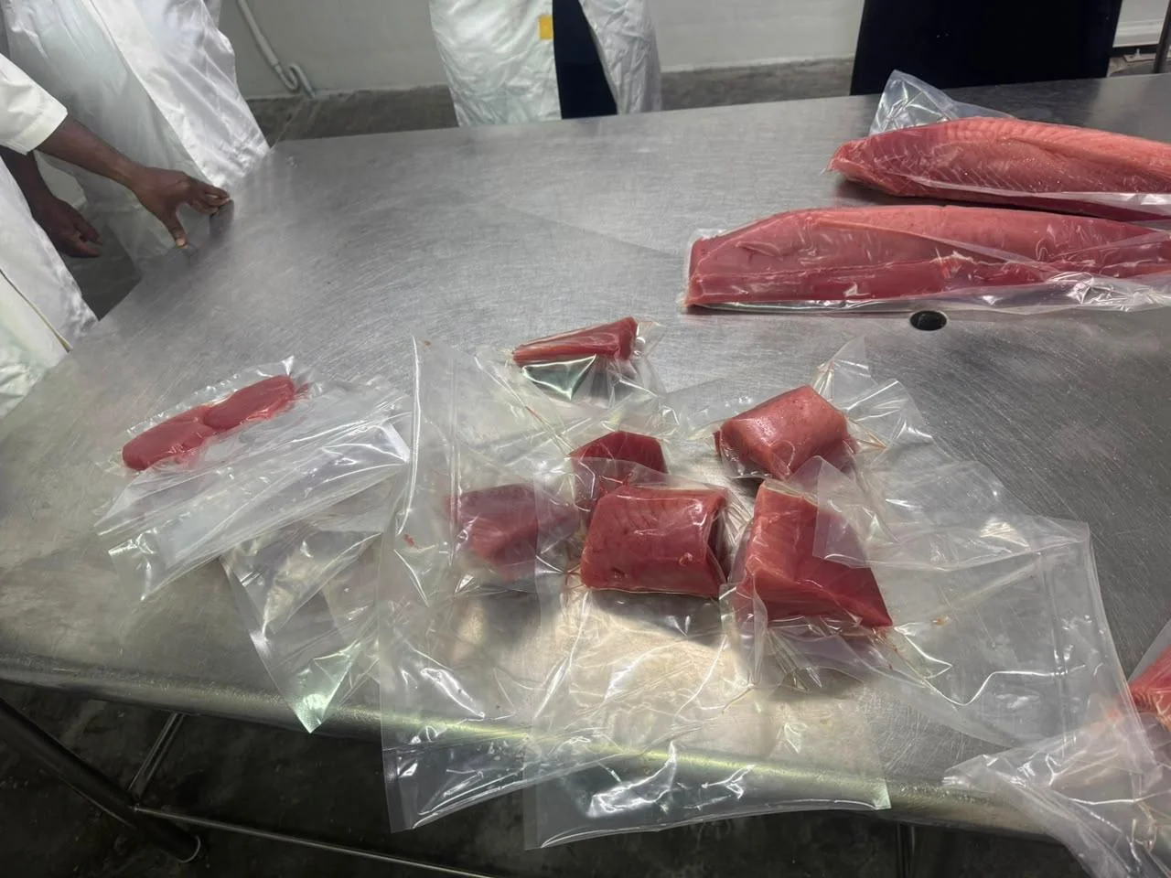 Vacuum packed tuna blocks